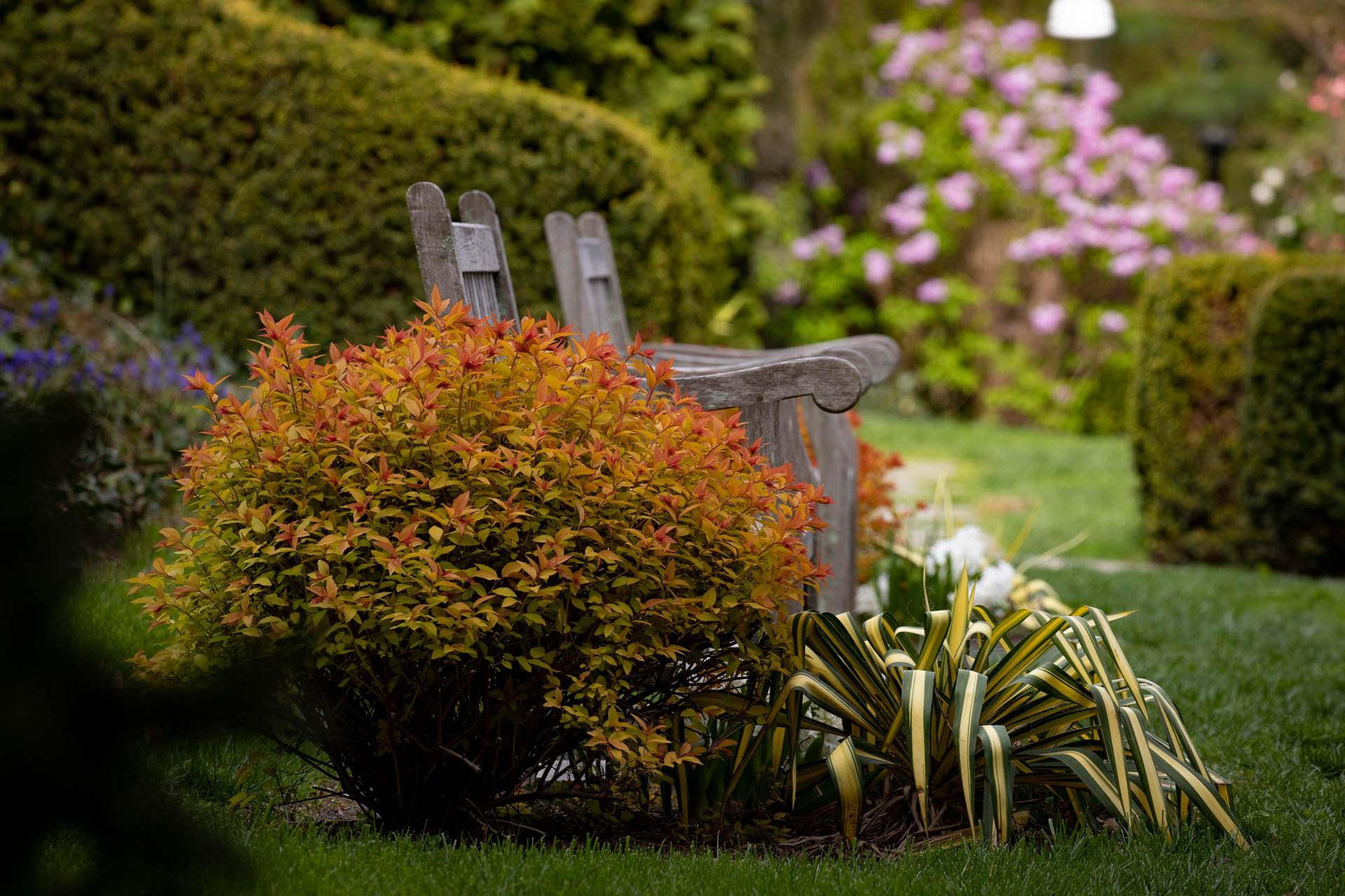 empty benches in Prospect Garden
