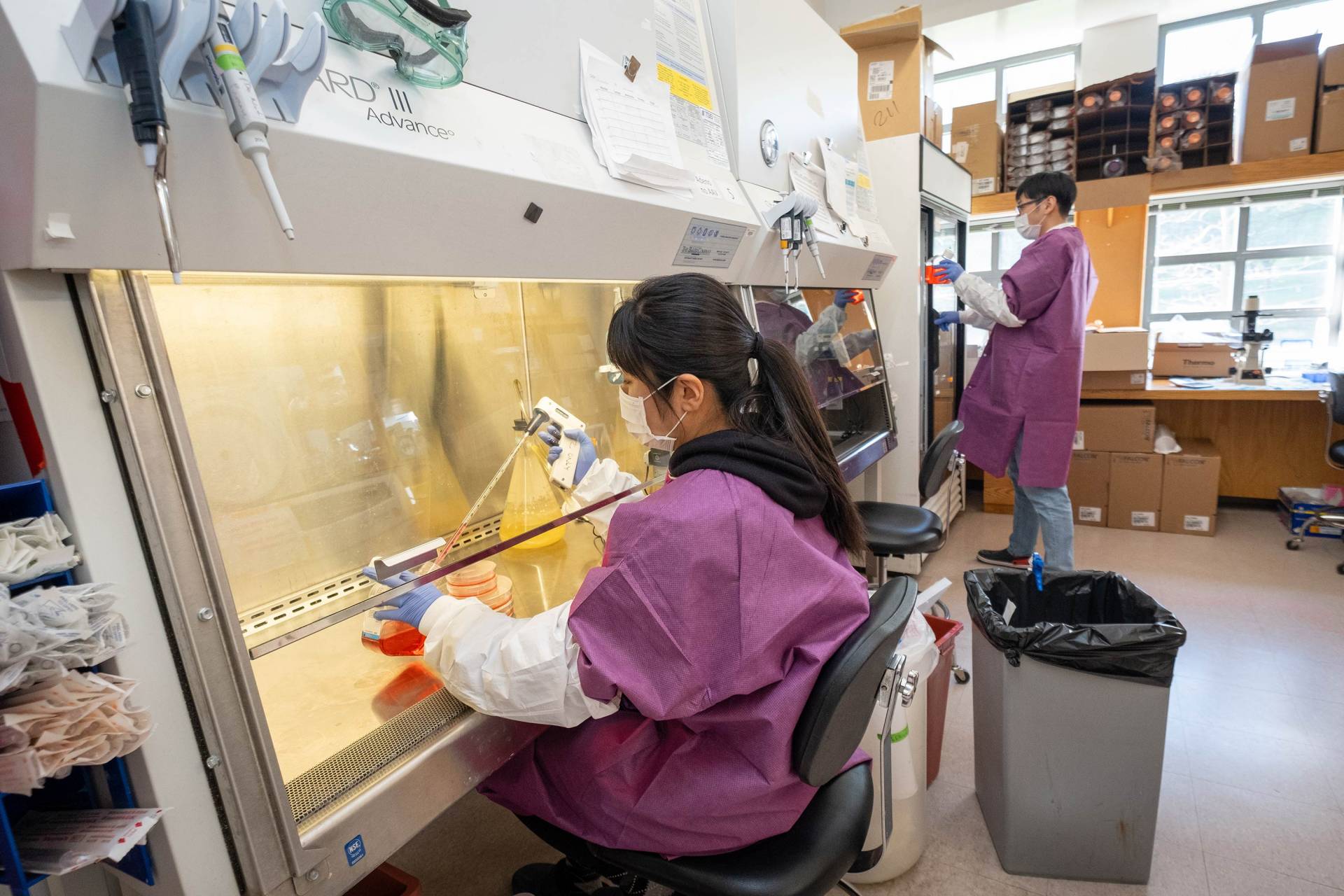 2 postdoctoral students work in a chemistry labb