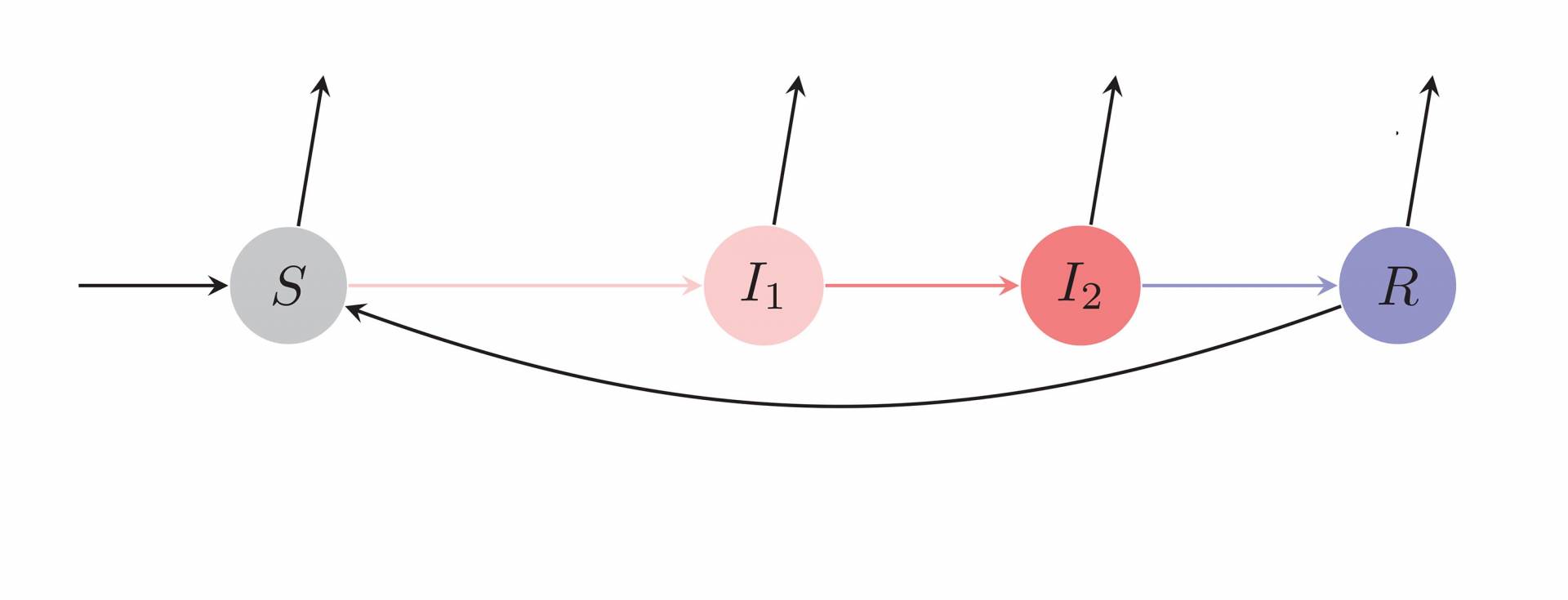 transmission model of covid that includes the asymptomatic