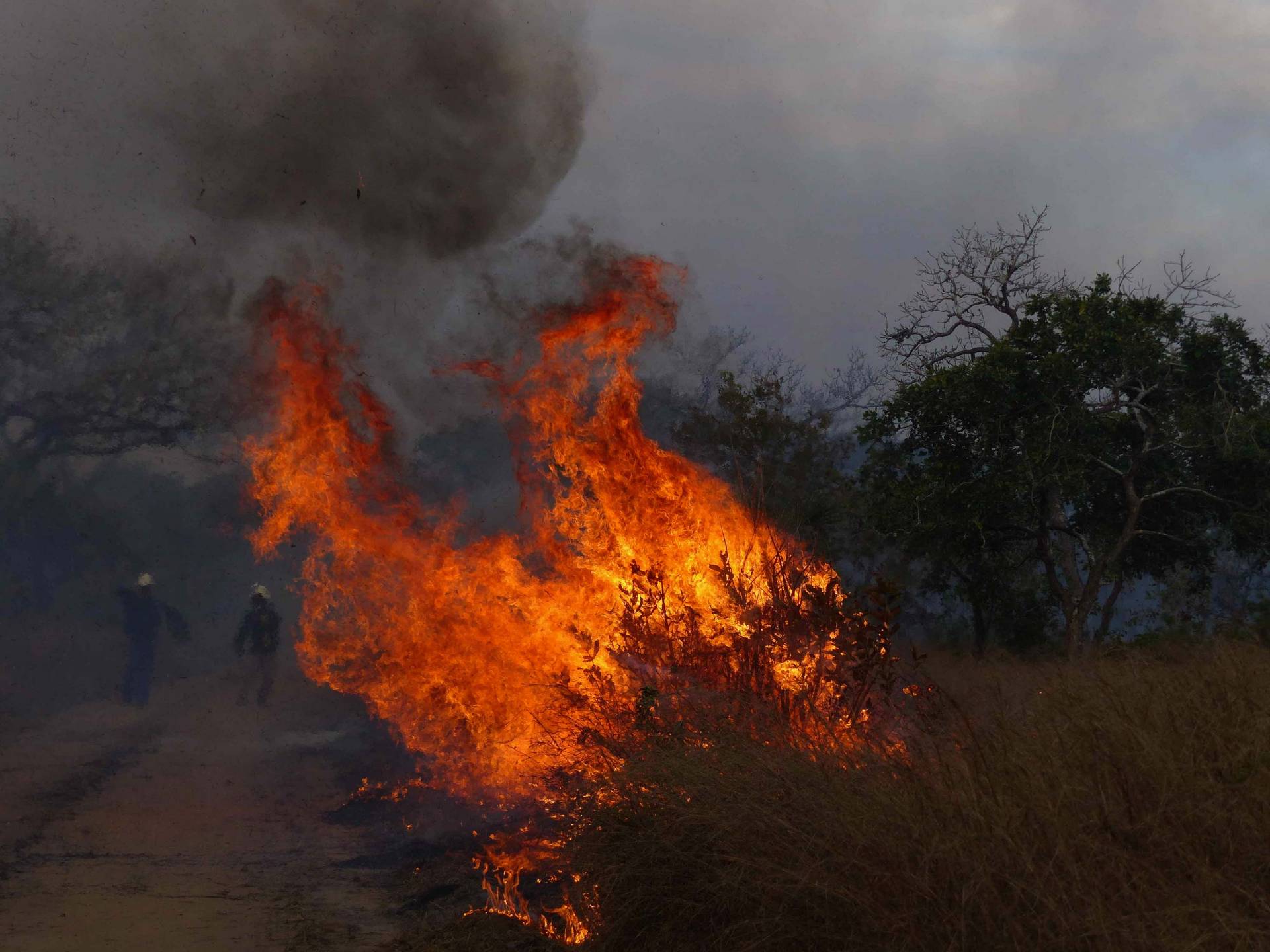 A field on fire