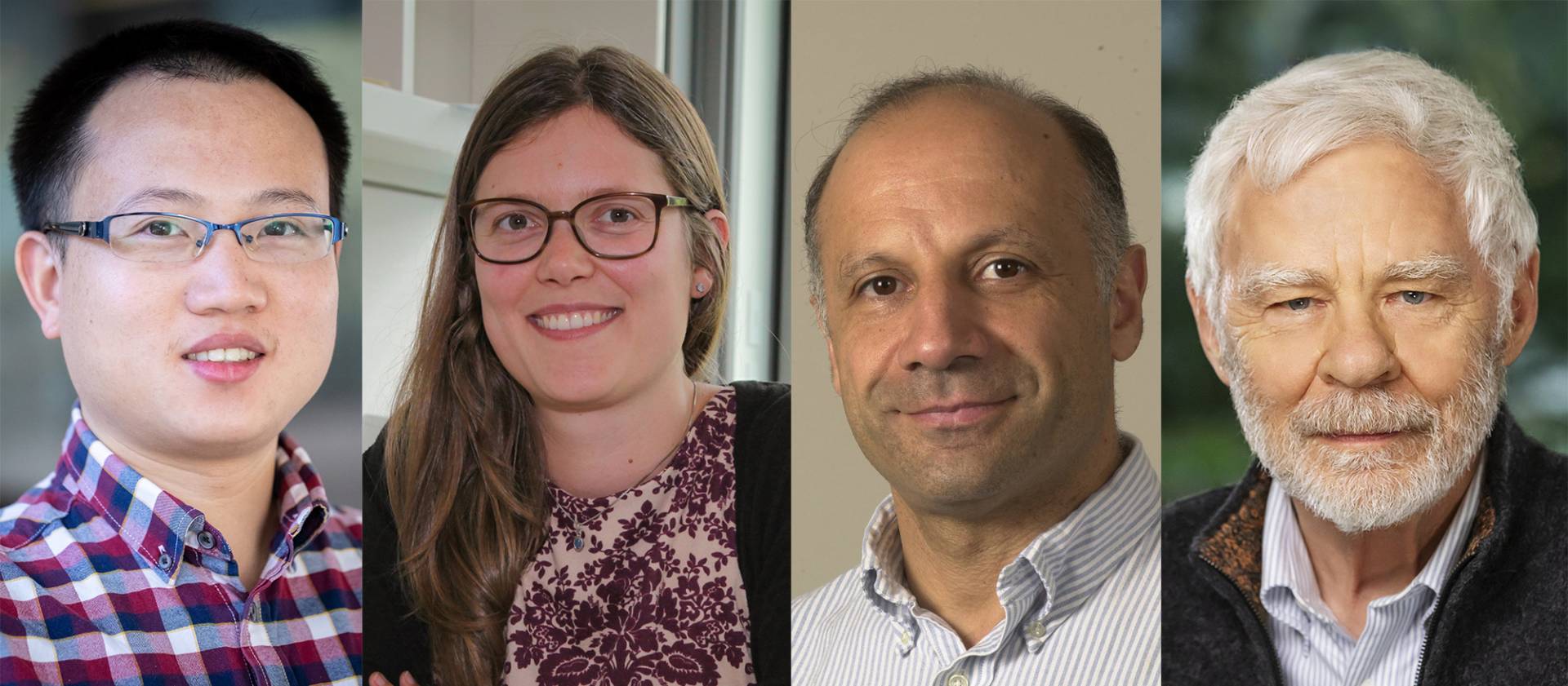 Sanfeng Wu, Leslie Schoop, Mansour Shayegan, and Loren Pfeiffer