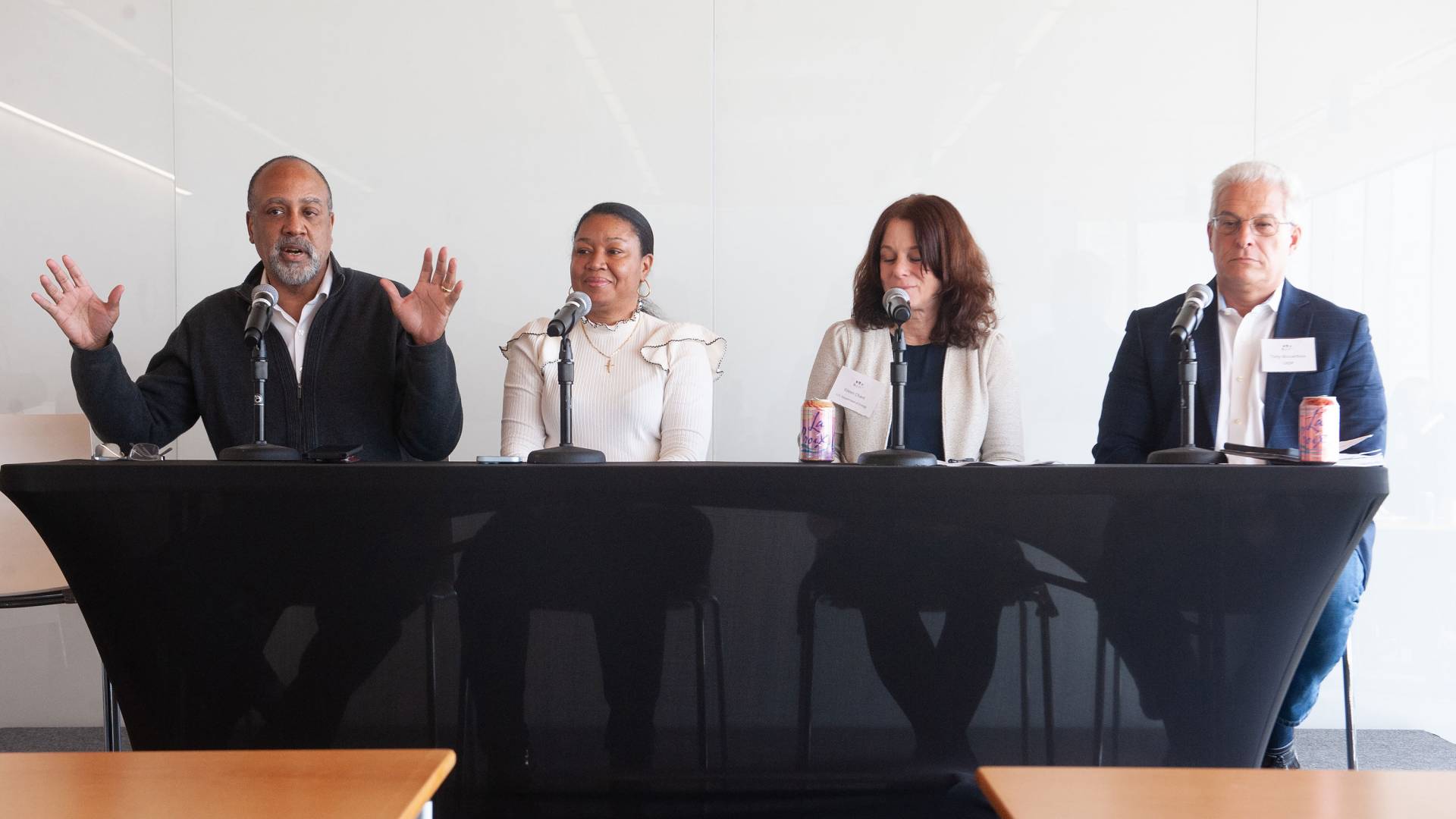 4 people speaking on a panel discussion