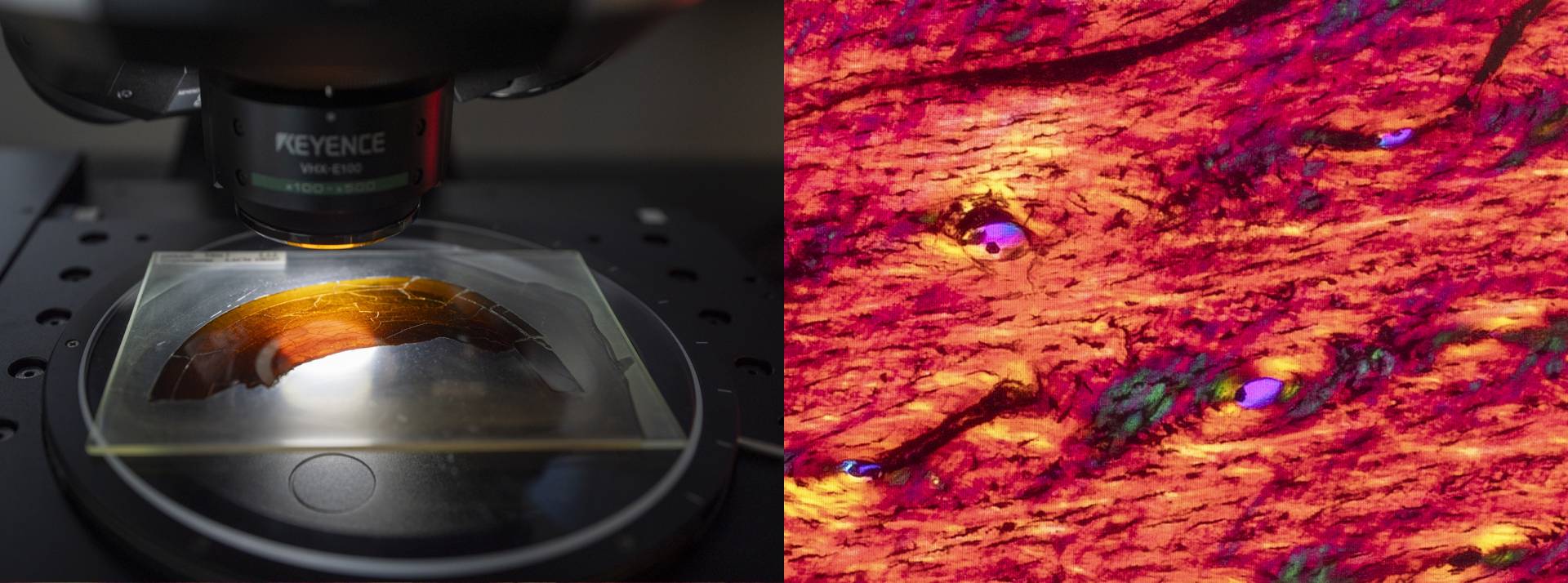 Two views of a bone slice, one from next to the microscope and one through it