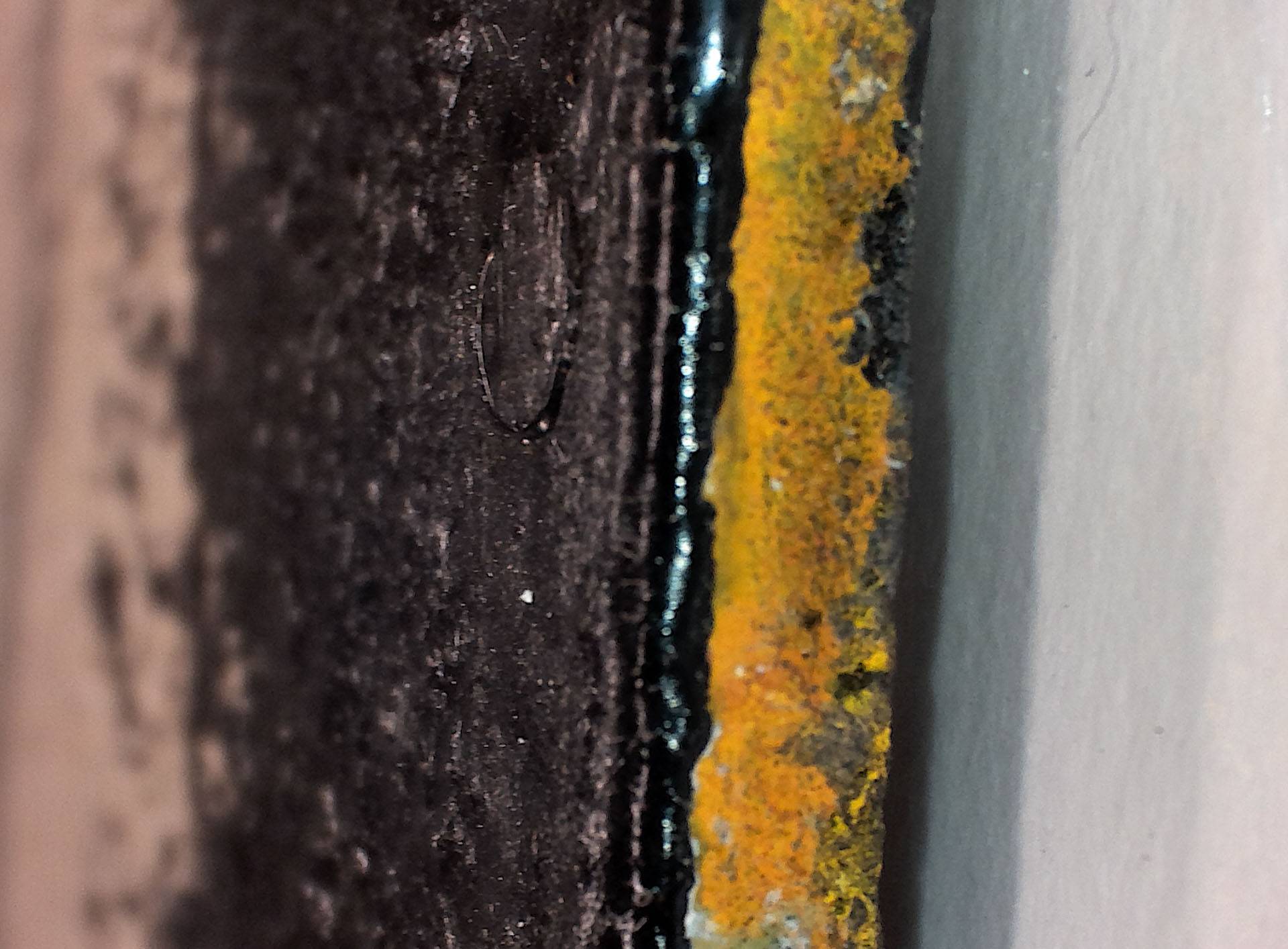 A micrograph showing the edge of the painting "Black Friday"