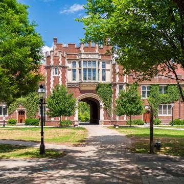 pathway lined by bright green trees