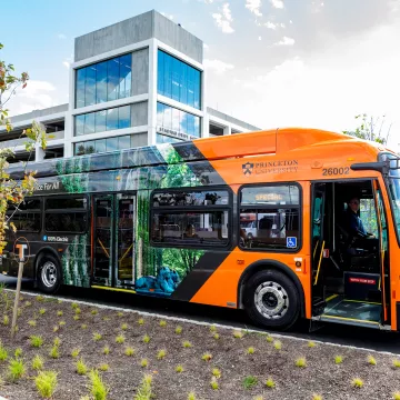 A tiger transit bus.