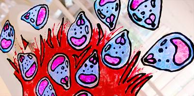 the life cycle of Plasmodium