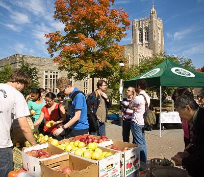Farmer's market