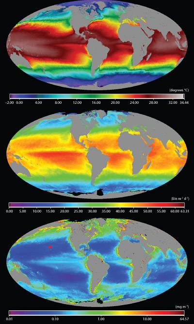 Temperature, light and chlorophyll