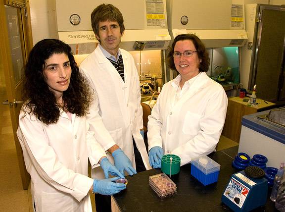 Hilary Coller, Joshua Rabinowitz, Eileen White