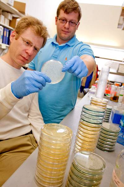 Leonid Kruglyak and Ian Ehrenreich