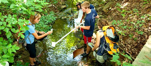 sustainability homepage