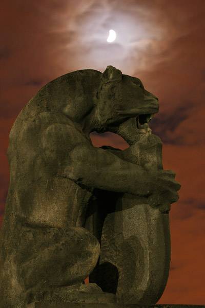 Gargoyles home inside