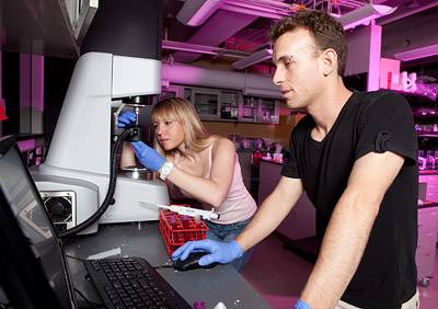 Summer Labs Smits lab