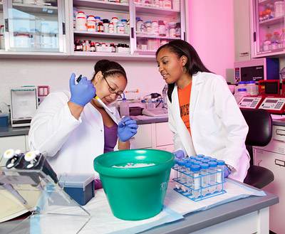 Summer Labs Burdine lab