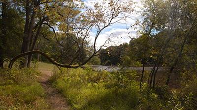 Parks Mountain Lakes