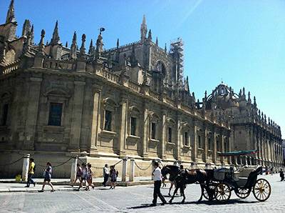 Sr Thesis Anthropology plaza
