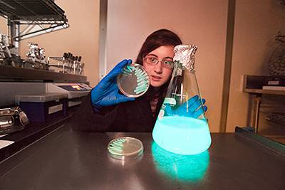 Sr Thesis science Quinodoz