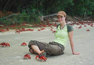 Red Crabs Shaw