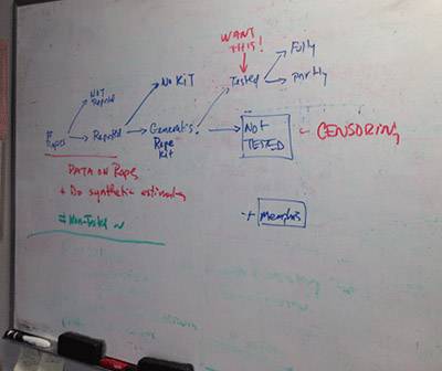 Senior Thesis Rebecca Basaldua whiteboard