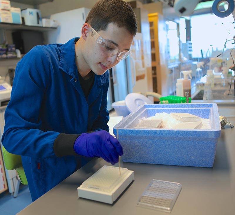 Nozomi Ando Isao Anzai, ‘2017 in lab