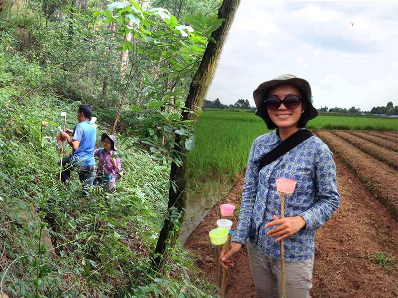 Birds and bees are good indicators of the overall biodiversity. Lead author Fangyuan Hua (right) and her collaborators collected bee species and identified them using DNA barcoding. The researchers found bees suffered from reforestation, likely because of a lack of floral diversity in replanted forests. <i>(Photos by Fangyuan Hua, Woodrow Wilson School of Public and International Affairs)</i>