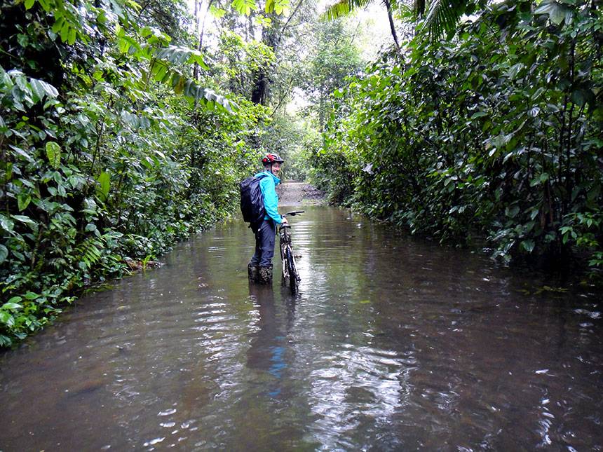 Zoe Sims stands in rainforest