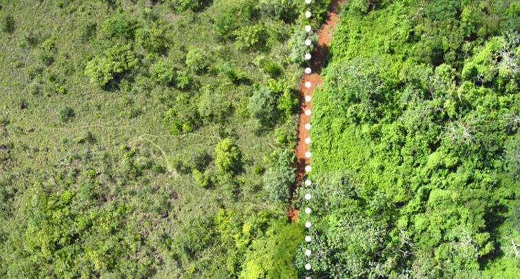 Aerial image of orange peels