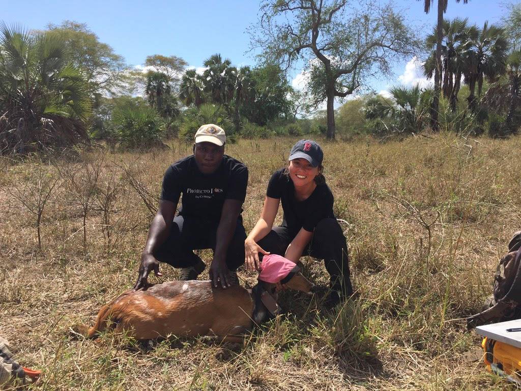 Two people examine a bushbuck