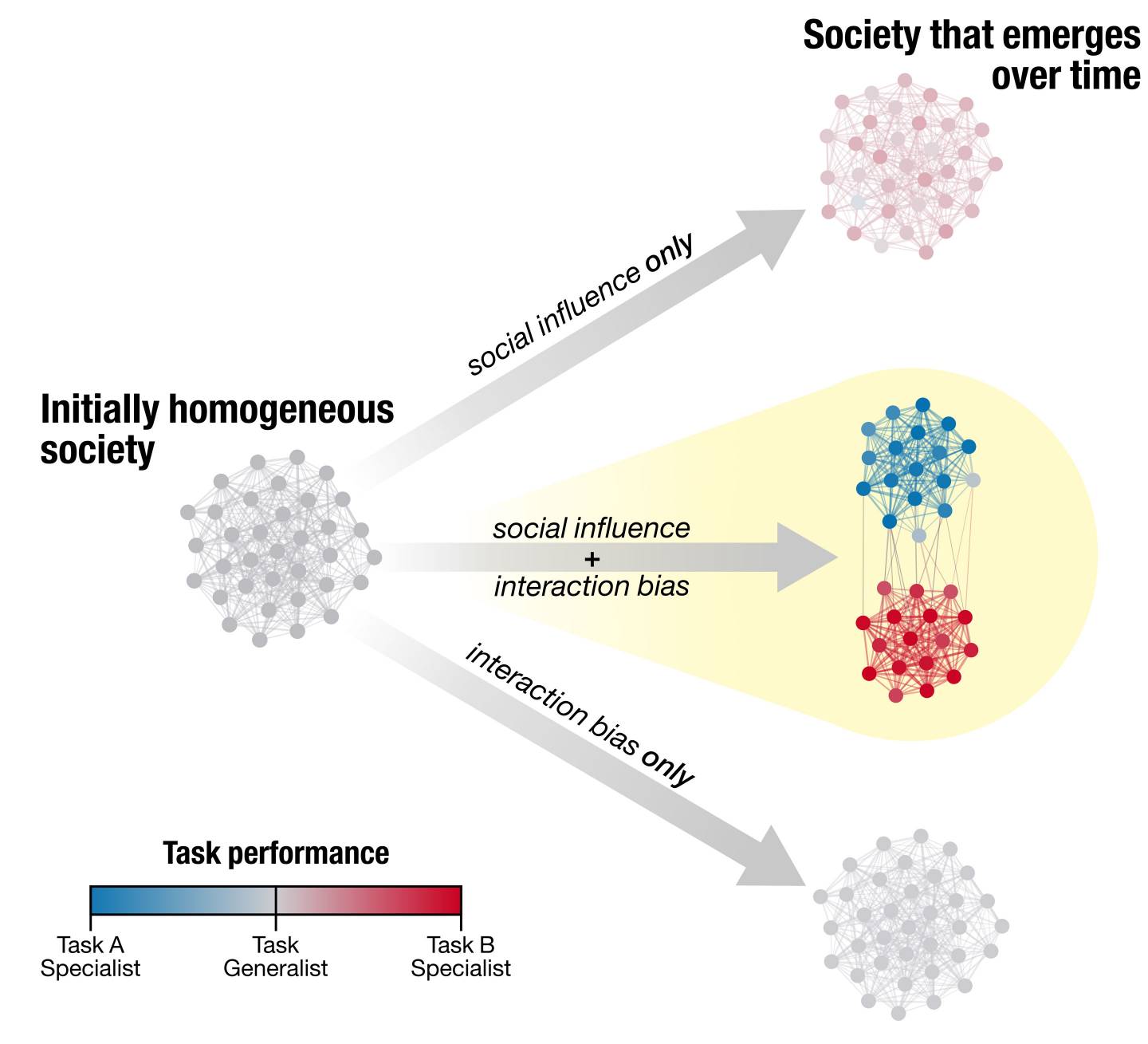 Graphic showing social influence