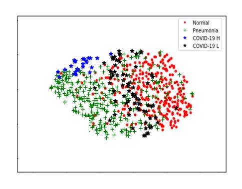 scatter plot of lungs
