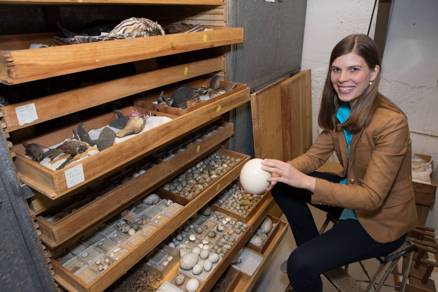 Mary Caswell Stoddard