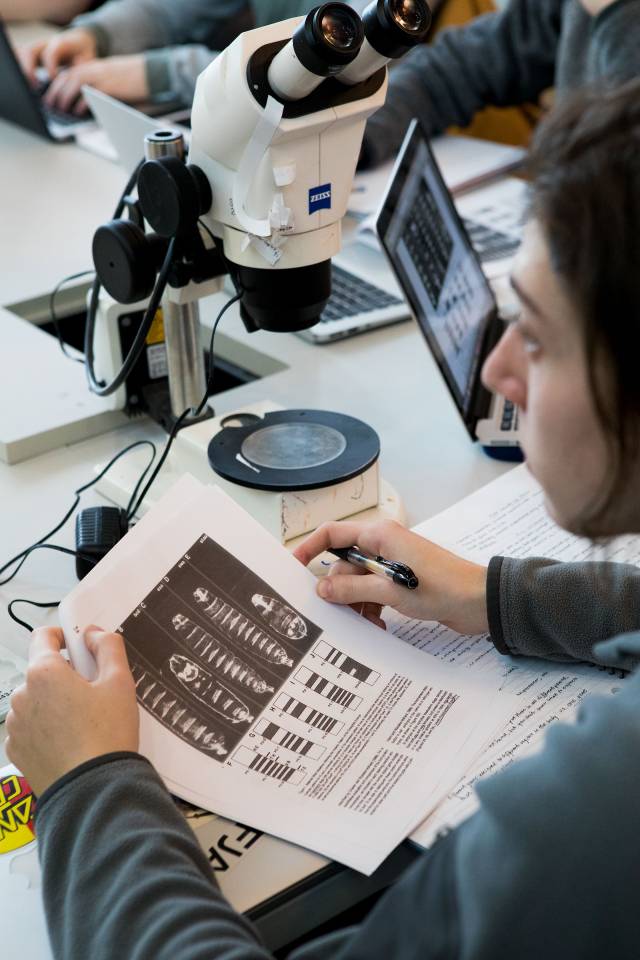 Reed Hutchinson at microscope