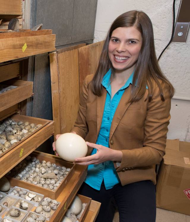 Mary Caswell Stoddard sits with eggs